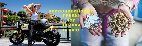 шишки Балахна