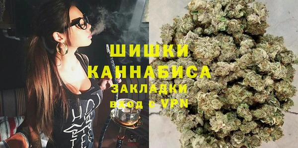 шишки Балахна