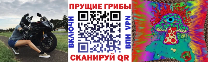 Псилоцибиновые грибы мухоморы  Балтийск 